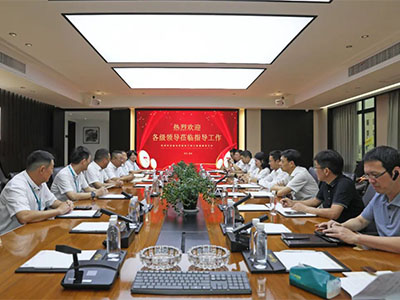 拼經濟 促發展！溫州灣新區黨工委副書記謝忠誠率隊赴集團開展調研督導活動