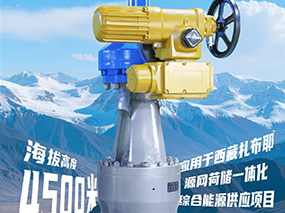 4500米！良固閥門(mén)集團(tuán)服務(wù)全球海拔最高的光熱電站